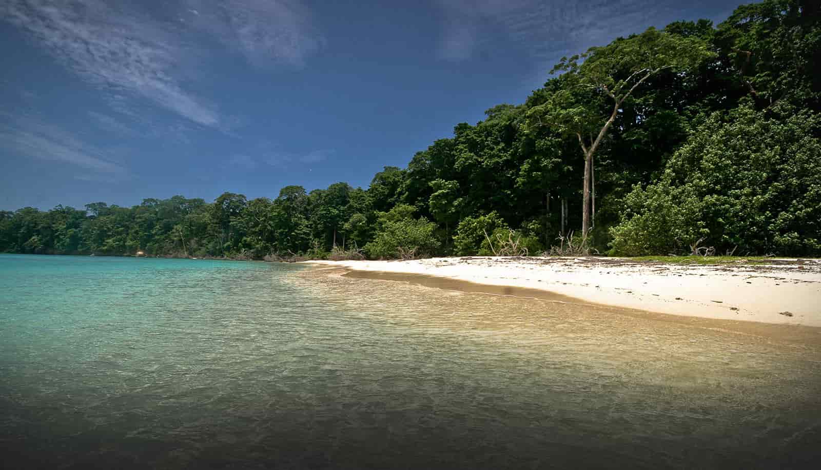 Andaman Love - Explore Andaman With Us | Book Now