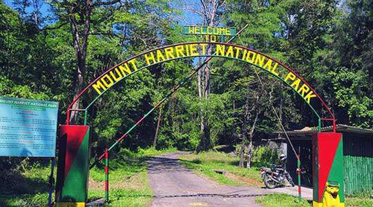 40608-Mount-Harriet-National-Park.jpg