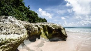 complete-andaman's-1
