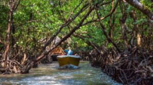 andaman-delight-3