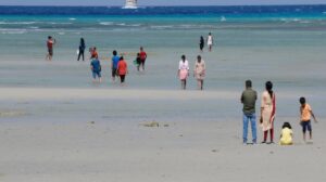 awsome-andaman-5