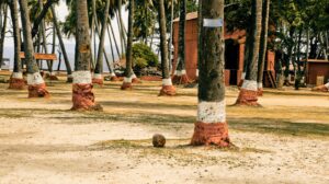 9 Nights 10 Days Andaman