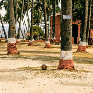9 Nights 10 Days Andaman