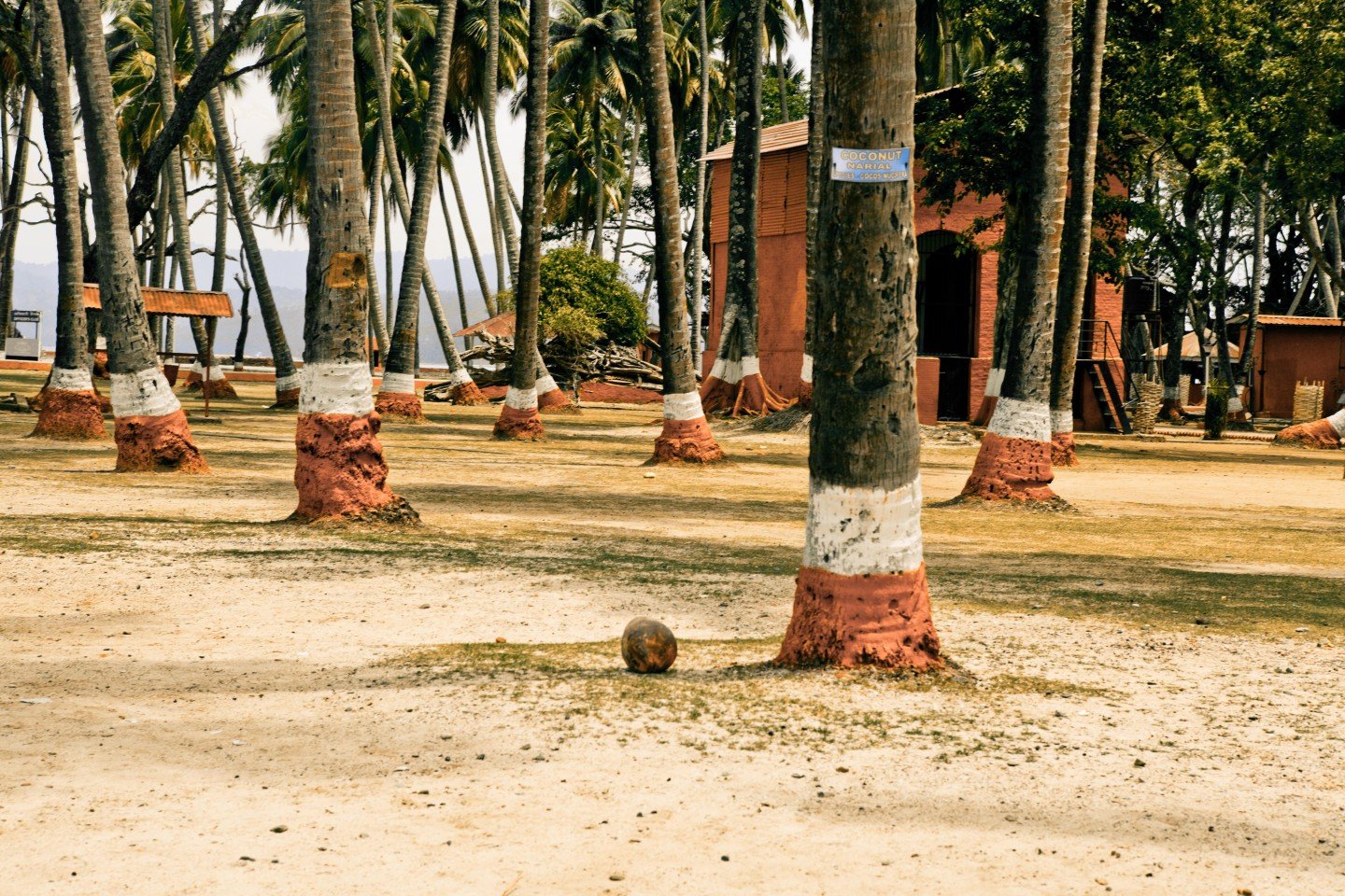 9 Nights 10 Days Andaman