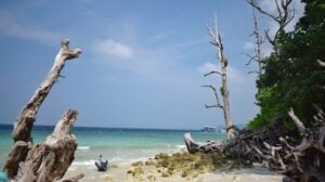 6 nights 7 days andaman package