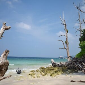 6 nights 7 days andaman package