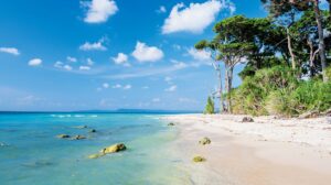 5 nights 6 days andaman package