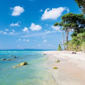 5 nights 6 days andaman package