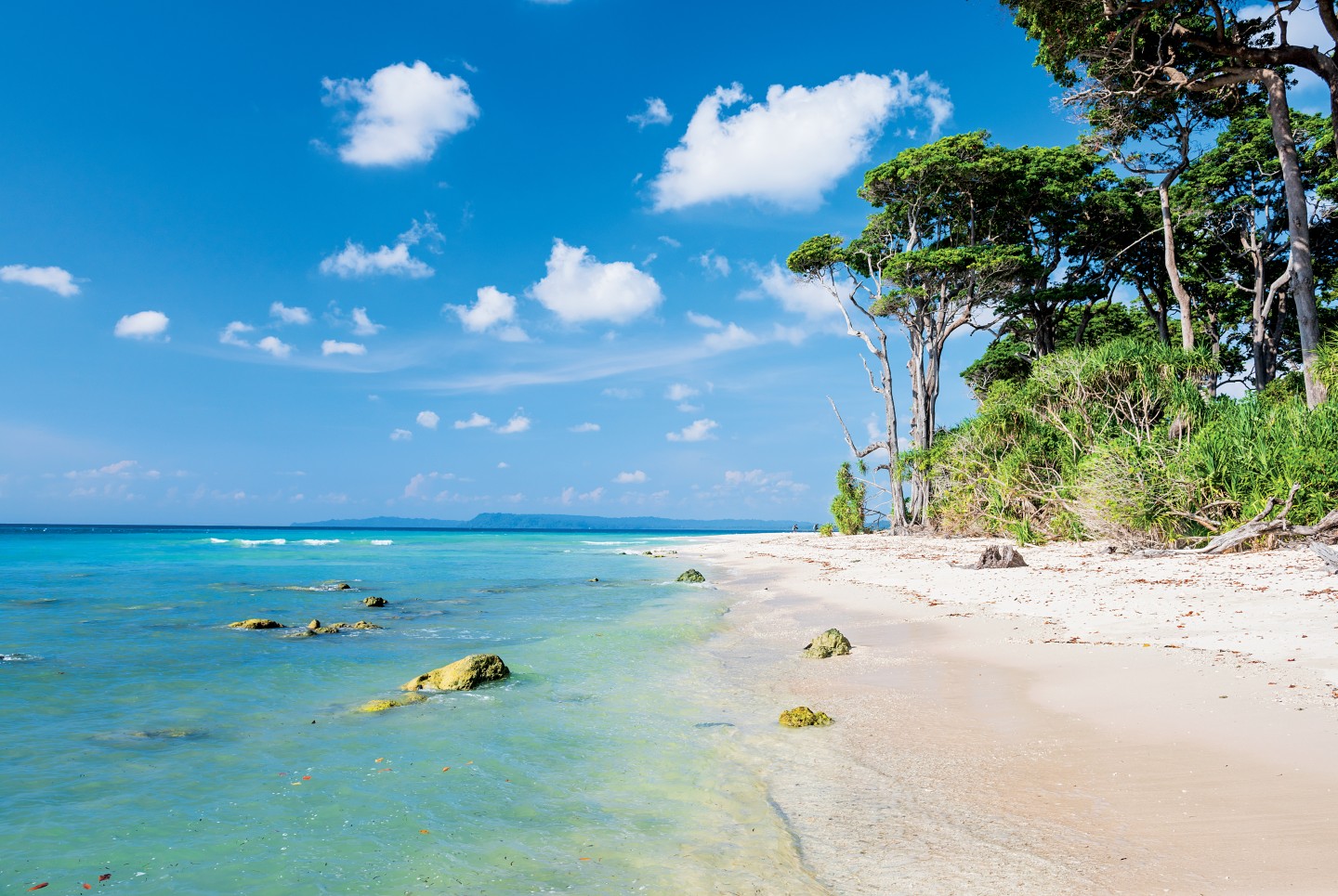 5 nights 6 days andaman package