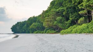 7 nights 8 days andaman package