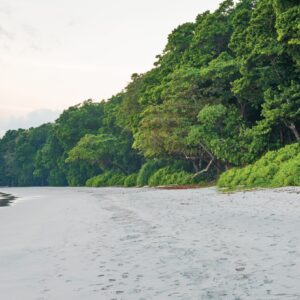7 nights 8 days andaman package