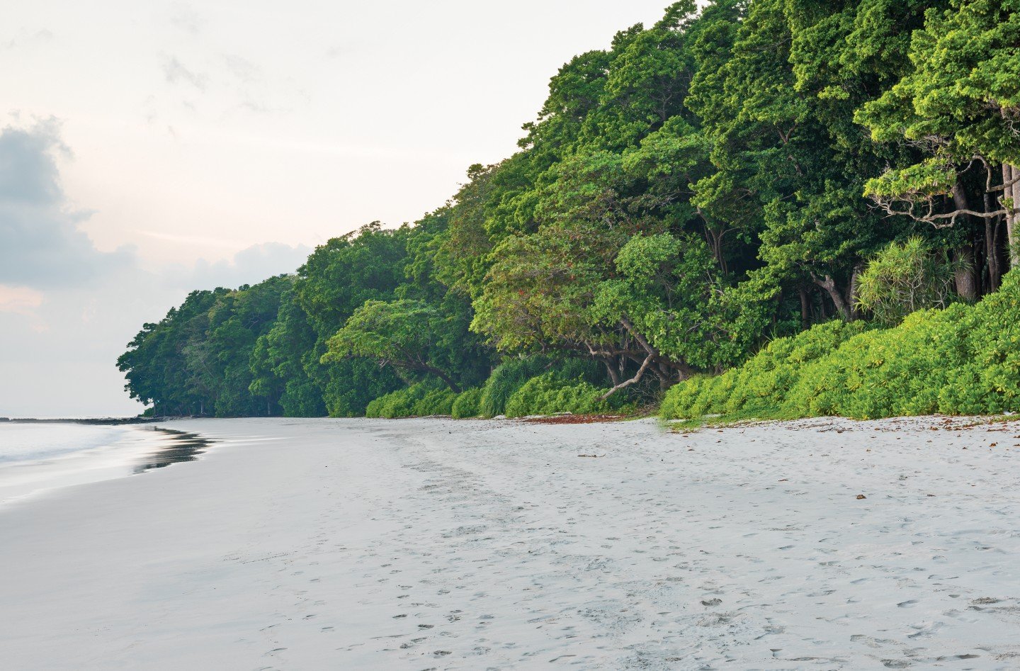 7 nights 8 days andaman package