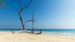 andaman tour 8 nights 9 days
