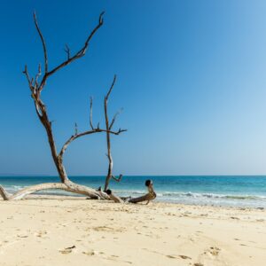 andaman tour 8 nights 9 days
