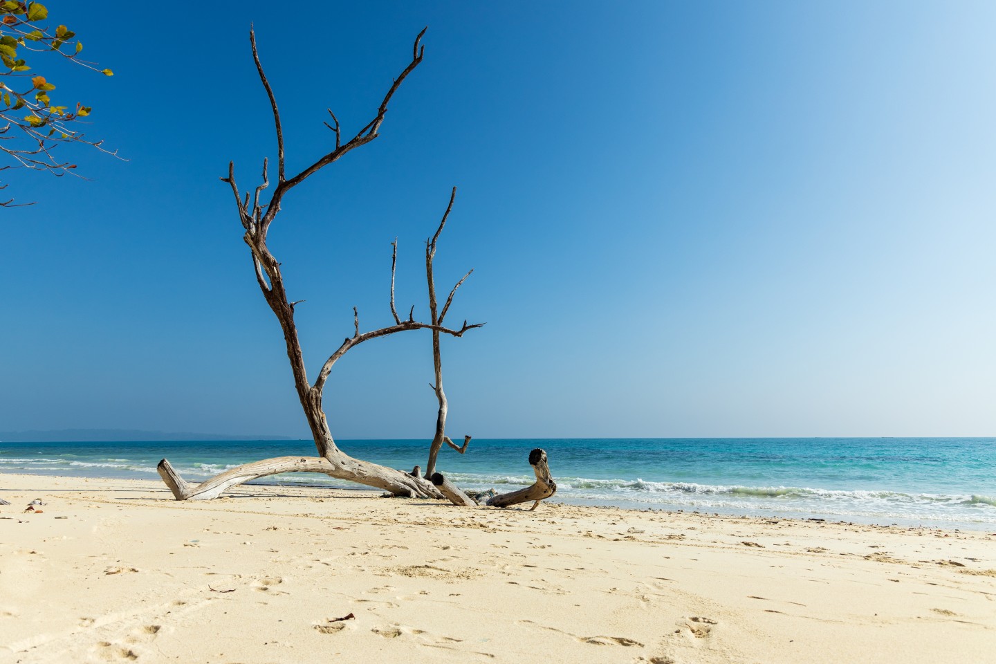 andaman tour 8 nights 9 days