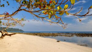 havelock island tour package