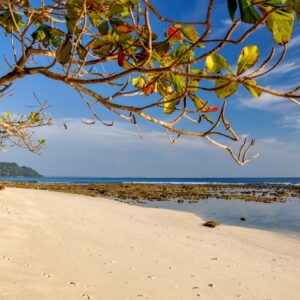 havelock island tour package