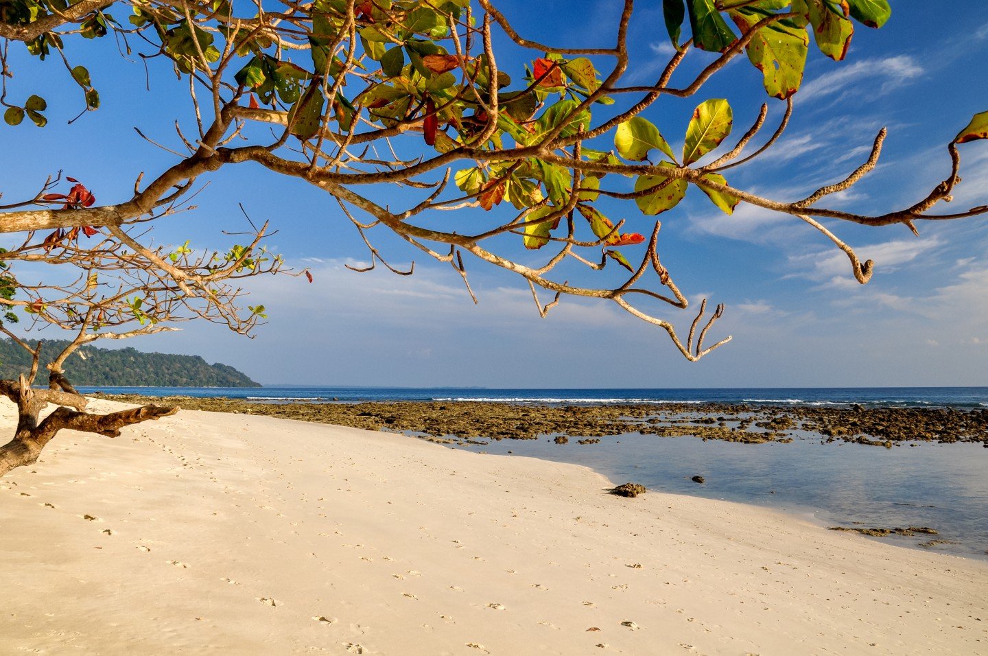 havelock island tour package