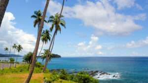 4 Night 5 Days Andaman Package
