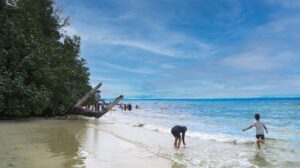 5 nights 6 days andaman package