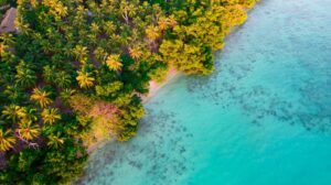 5 Nights 6 Days Andaman Package in Havelock & Neil Island