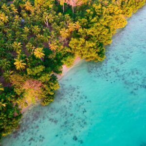 5 Nights 6 Days Andaman Package in Havelock & Neil Island
