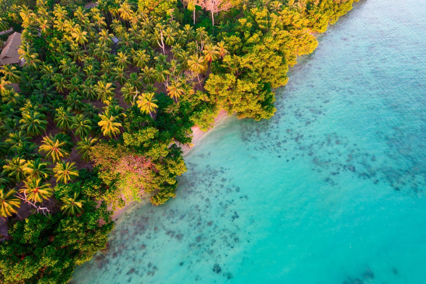 5 Nights 6 Days Andaman Package in Havelock & Neil Island