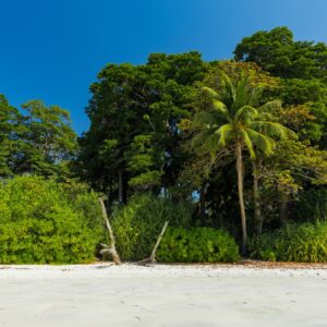 Andaman Itinerary for 5 Days in Port Blair & Havelock