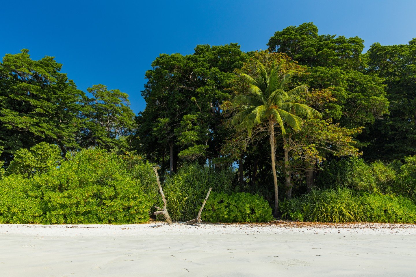 Andaman Itinerary for 5 Days in Port Blair & Havelock