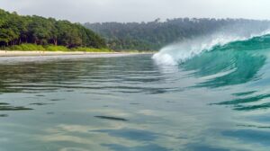 andaman package with baratang