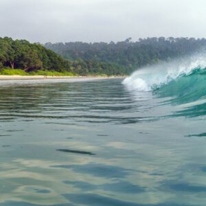 andaman package with baratang
