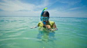 andaman package with baratang