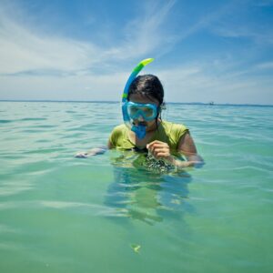 andaman package with baratang