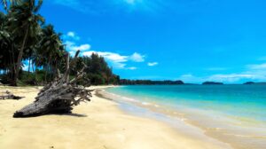 5 nights 6 days andaman package