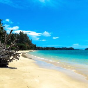 5 nights 6 days andaman package