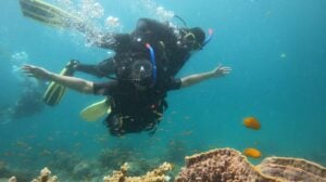 PADI DSD-1
