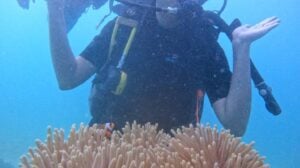 PADI DSD-4