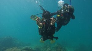 scuba diving in andaman