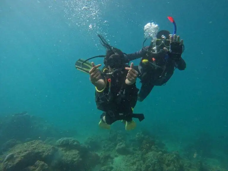 scuba diving in andaman