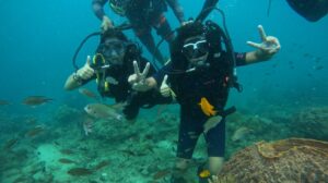 Scuba-3