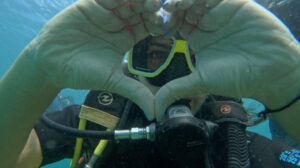 boat-diving-4