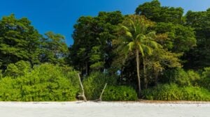 dazzling-andaman's-2