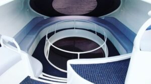 dolphin_image_min (3)