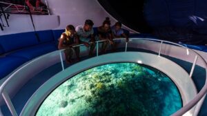 dolphin glass bottom boat ride in andaman