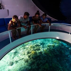 dolphin glass bottom boat ride in andaman