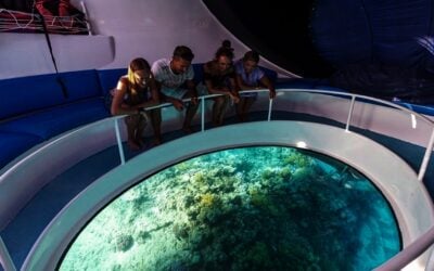 Dolphin Glass Bottom Boat Ride in Andaman Island