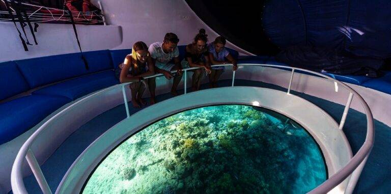 dolphin glass bottom boat ride in andaman