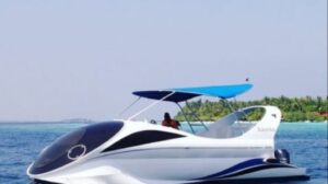 dolphin_image_min_1