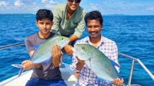 fish-3