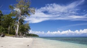 funtastic-andaman's-3